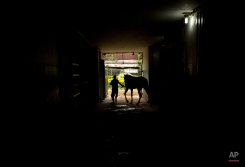 Venezuela Horse Mafia: Photographer Fernando Llano
