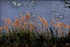 In this Sept. 26, 2014 photo, grass grows in front of a damaged house window in Immerath, Germany. Immerath has become a ghost town to be demolished for the approaching brown coal mining. Inhabitants were relocated to a new town. (AP Photo/Frank Augstein)