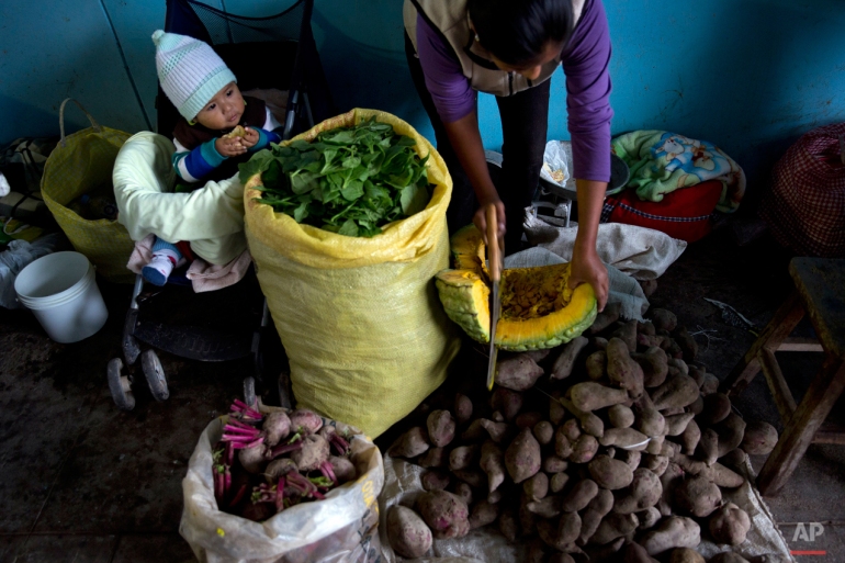 In this May 29, 2015 photo, a woman cuts a squash while working in the local market as her son watches, in Cocachacra district in Tambo Valley, Arequipa, Peru. A respite imposed by martial law after nearly two months of violent anti-mining protests has allowed farmers in the fertile coastal valley of southern Peru to get back to the crops they were neglecting. (AP Photo/Rodrigo Abd)
