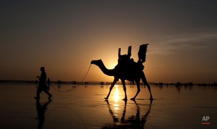 A Pakistani camel owner looks for customers as people visit Karachi beach suffering from warm weather, Friday, Oct. 2, 2015 in Pakistan. (AP Photo/Shakil Adil)