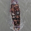 Bangladeshi traders transport cattle on a country boat to a livestock market ahead of Eid al-Adha festival in Dhaka, Bangladesh, Wednesday, Sept. 23, 2015. Muslims around the world celebrate Eid al-Adha, or the Feast of the Sacrifice, by sacrificing animals to commemorate the prophet Ibrahim's faith in being willing to sacrifice his son. (AP Photo/A.M. Ahad)