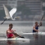 A bird flies past Russia's Ilya Medvedev competing in the men's 1,000m Kayak Single at the International Canoe Sprint Challenge on Rodrigo de Freitas Lagoon in Rio de Janeiro, Brazil, Friday, Sept. 4, 2015. Canoeists at the Olympic test event complained about the polluted water at the venue, but they were most outspoken about the aquatic plants that were tangling with their oars and rudders. (AP Photo/Felipe Dana)