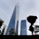 Roses placed by the mother of an architect who died during the Sept. 11, 2001 terrorists attacks are erected off his name on the edge of the South Pool at the site of the World Trade Center in New York, Friday, Sept. 25, 2015. (AP Photo/Julio Cortez)