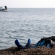 The dead body of a migrant boy lies on the beach near the Aegean town of Ayvacik, Canakkale, Turkey, Saturday, Jan. 30, 2016. A boat carrying migrants to Greece hit rocks off the Turkish coast on Saturday and capsized, killing at least 33 people, including five children, officials and news reports said. Some 75 other migrants were rescued. A Turkish government official said he expects the death toll from the incident to rise as rescue workers try to reach other migrants believed trapped inside the wreckage of the boat which sank shortly after departing from the Aegean resort of Ayvacik. (AP Photo/Halit Onur Sandal)