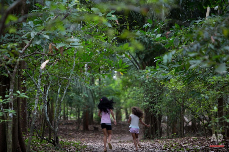 In this June 22, 2016 photo, girls run amidst a plantation of Chacrona (Psychotria viridis) one of the components of an ancient psychedelic tea locals know as the Holy Daime in Ceu do Mapia, Amazonas state, Brazil. In the early 1980s a rubber tapper named Sebastiao Mota de Melo, nicknamed Godfather Sebastiao, took hundreds of followers deep into the forest to create Ceu do Mapia, a new village that would live by the Ayahuasca tea doctrine. (AP Photo/Eraldo Peres)